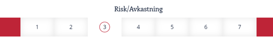 Riskskala 3